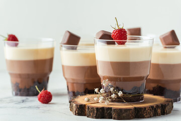 Layered dessert Trifles in a transparent glass.  Sponge biscuit and three chocolate mousse layers. Chocolate souffle trifle cake in individual disposable transparent cups. White background
