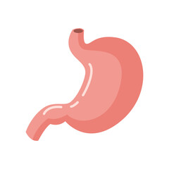 Stomach icon. Human internal organs symbol. Digestive system anatomy. Vector illustration in flat style isolated on white background
