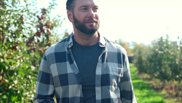 Caucasian handsome man walking in garden full of apple trees on sumer day in orchad. Outdoors. Male gardener at seasonal work. Harvesting concept. Strolling in garden and smelling fresh apple.