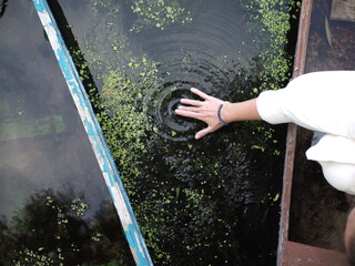 hand touching water