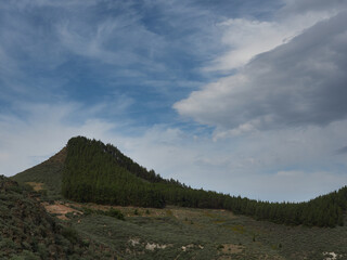 Mountain with trees and blue sky with many clouds
