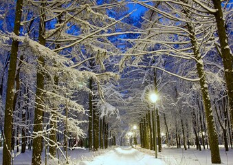 Winter evening park with snowy trees and night lanterns