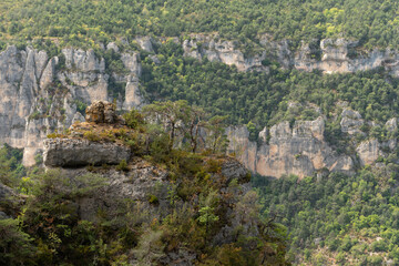 Fototapeta na wymiar Gorges du Tarn in Cevennes National Park.