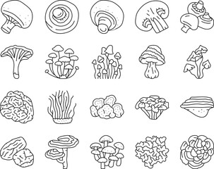 mushroom food forest fungi icons set vector - obrazy, fototapety, plakaty