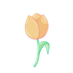  illustration of a yellow flower on transparent background
