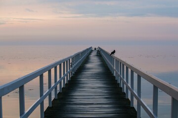 Pier with a perched bird on the handrail against the background of the sea at sunset.