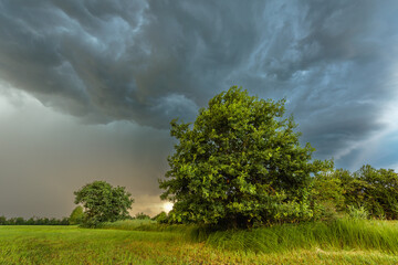 Obraz premium Large storm cell in a stormy sky over a meadow in summer.