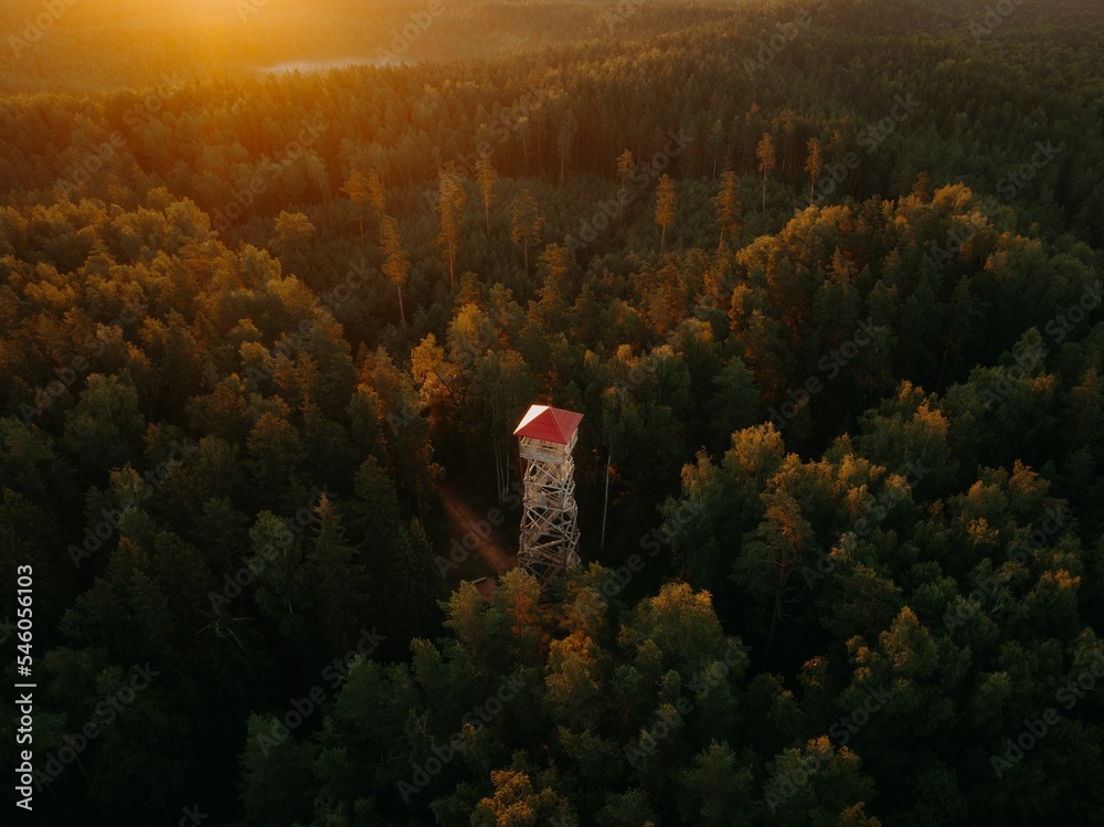 Wall mural Beautiful aerial shot of a lighthouse in the middle of the forest covered by sunrise