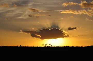 Aerial view of a beautiful forest during sunset