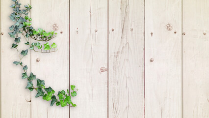 木目背景とグリーン