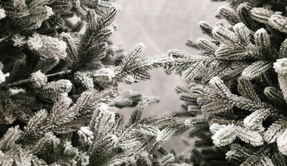 Fir tree brunch close up. Fluffy fir tree brunch close up. Christmas wallpaper concept. Copy space.