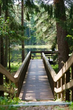 Vertical view of a narrow wooden pathway leading to the Suchar lake in Wigry Park