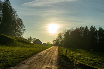 Fototapeta premium Horses grazing near a dirt rural road