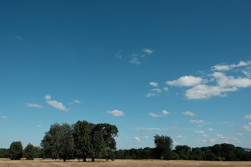 Scenic view of blue cloudy sky over a meadow with green trees