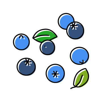 fresh blueberry berry color icon vector illustration