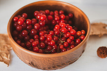 Ripe viburnum in clay bowl. Autumn beriies. Autumn harvest. Natural antioxidant. Natural flu remedy. Raw viburnum berries close up. The fall harvest. Cold healing by nature.