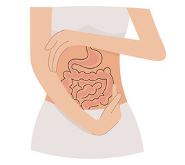 Health of the gastrointestinal tract. The intestines are in the caring hands of a woman. The concept of health care, the health of the digestive system.Intestines in gentle human hands.Vector isolated