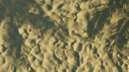 Sandy ground with shadows of tropical island palm trees