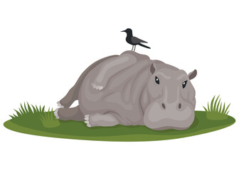 Hippo. Hippopotamus cartoon character. African animal, zoo and wildlife concept. Large gray wild creature lies on white background
