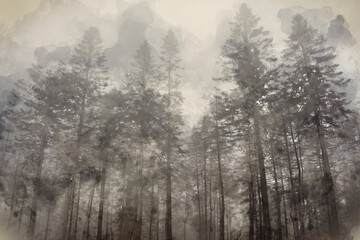 Obraz na płótnie Canvas Digital watercolor painting of Moody and dramatic foggy woodland Autumn Fall landscape scene