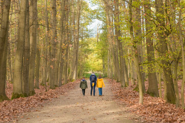 Obraz premium Family walk in the autumn park along the path in the forest. Mom with children boy and girl