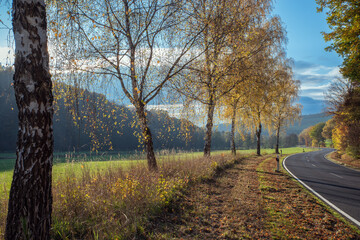 Fototapeta premium Herbst am Wegweiser bei Melsungen-Kehrenbach