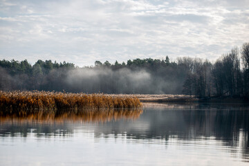 lake in the morning, värmdö,sverige, sweden