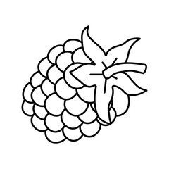 puree blackberry line icon vector illustration