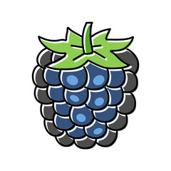 ripe blackberry color icon vector illustration