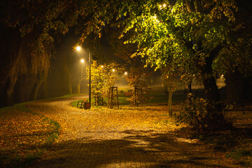 Wieczór w parku we Włocławku.