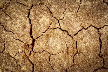 The surface of the soil is covered with cracks during drought