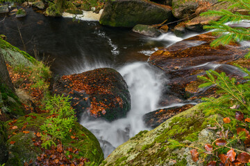 Fototapeta na wymiar Cerna Desna creek in Jizerske mountains in autumn color morning