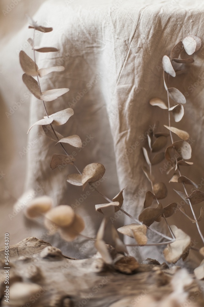 Poster vertical shot of a dried plant with jute linen background