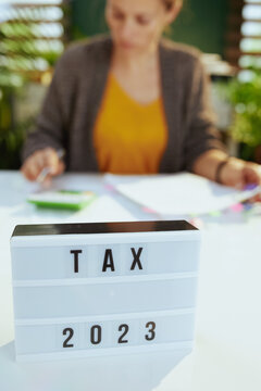 tax time. accountant woman working with documents