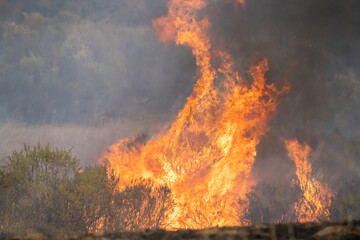 California Wildfire Flames

