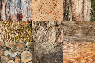 Collection of wooden textures, closeup view