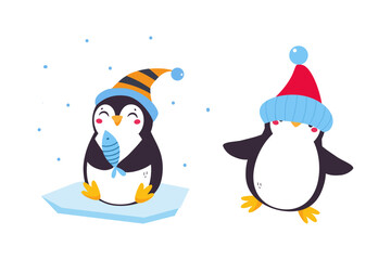 Cute Penguin with Red Cheeks Wearing Hat and Holding Fish Vector Set