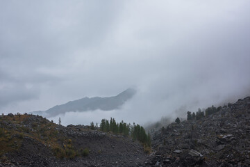 Dark atmospheric landscape with stone hill with forest and silhouette of mountain range in dense fog in rainy weather. Coniferous trees on rocky hills and black rocks in thick low clouds during rain.