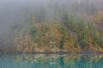 Naklejka na ściany i meble Simple meditative landscape with forest hill reflection in tranquil turquoise lake in fog. Mossy shore with firs in fading autumn colors reflected in mirror mountain lake. Autumn shore of alpine lake.