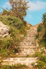 Old stone stairs with beautiful blooming flowers on sunny day