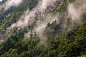 The beautiful view of forest in the clouds, near by Kaprun dams - Wasserfallboden and Mooserboden...