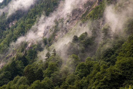 The beautiful view of forest in the clouds, near by Kaprun dams - Wasserfallboden and Mooserboden Mountain Reservoirs in Hohe Tauern. Austria, Europe. Rainy and foggy day. 4k wallpaper, HD background