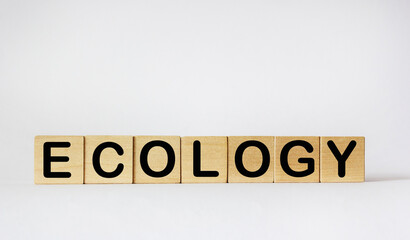 Ecology symbol. Concept word Ecology on wooden cubes. White table, copy space. Business, ecology and ecology concept.