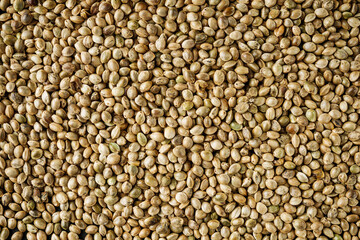 natural hemp seed on black stone background
