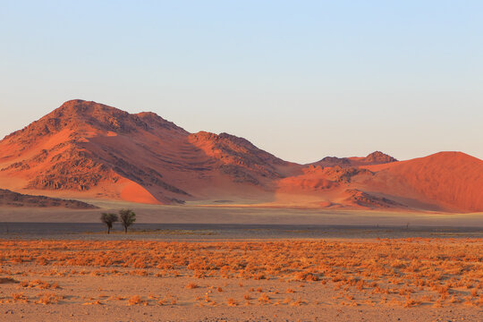 Dunes in the Namib-Naukluft National Park of Namibia. © Tomasz Wozniak