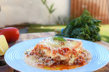 lasagna white and bolognese sauce with parmesan cheese, pasta, tomato, basil, herbs, delicious food from Italian and French cuisine