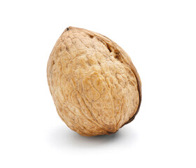 Fresh tasty walnut isolated on white background