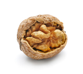 Fresh tasty walnut isolated on white background