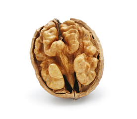 Fresh tasty walnut isolated on white background