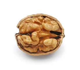 Fresh tasty walnut isolated on white background